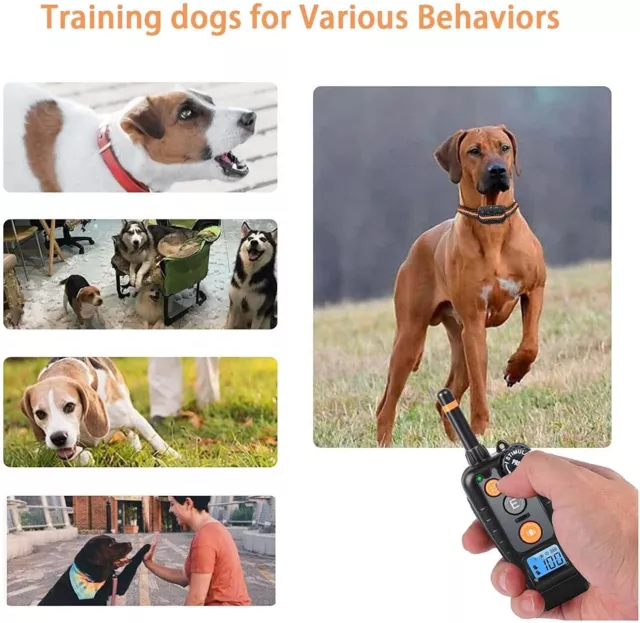 Dog training collar anti bark dog shock waterproof collar with remote receiver 3