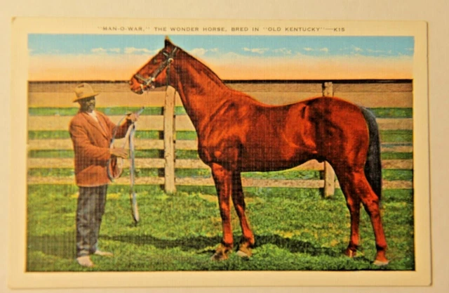 Samuel Riddle VINTAGE &MAN-O-WAR& THE Wonder Horse, Owned by Samuel D. Riddle Post ...