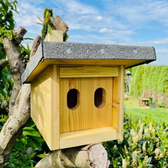 DARLUX Natur Holz Nistkasten mit Marderschutz für Hausrotschwanz Rotkehlchen 3