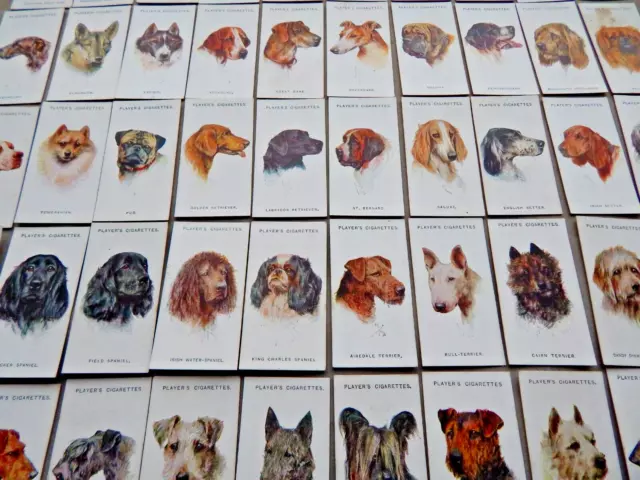 DOGS HEADS by WARDLE   VINTAGE 1929 JOHN PLAYERS  CIGARETTE CARDS 49/50