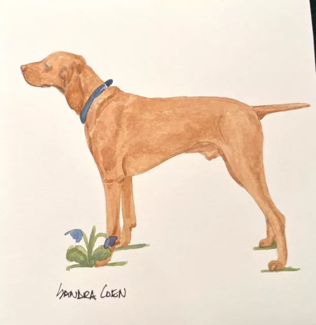 Vizsla Original Watercolor Painting by Coen Standing in grass