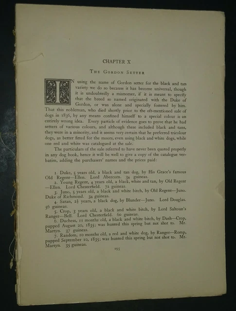 Gordon Setter Breed History & Photos from the 1906 Dog Book by James Watson