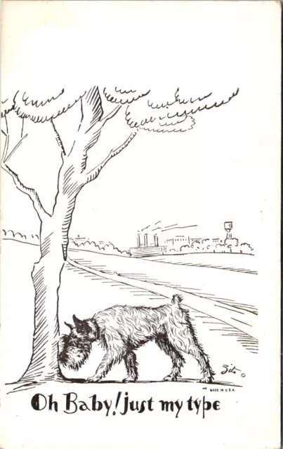 Vintage Comic Postcard -Dog sniffing tree —schnauzer/terrier —signed Zito