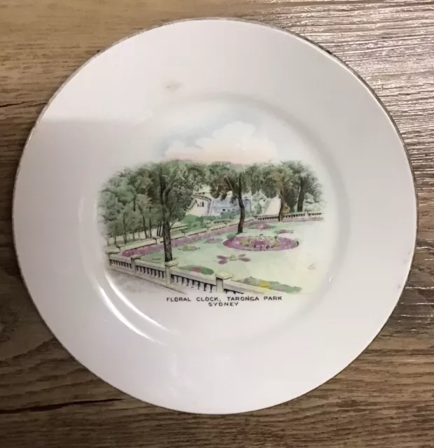 Vintage Shelley Souvenir Plate - Floral Clock Taronga Park Sydney