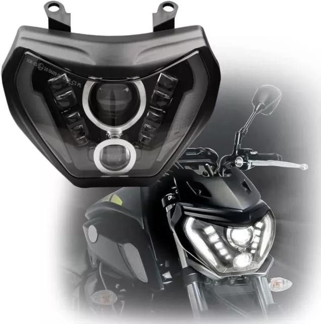2020 fz09