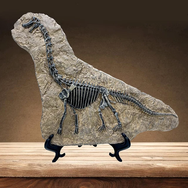 Resin Brachiosaurus Dinosaur Fossil Statue Model Simulated Skeleton Home Decor