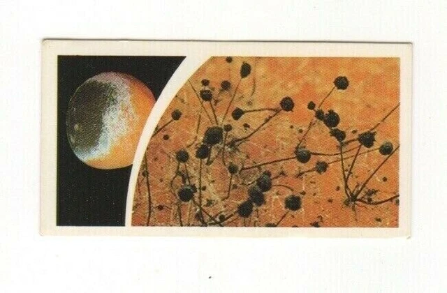 Brooke Bond Microscopic Images 1981 Mould