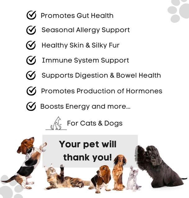 BEEF BONE BROTH Probiotic & Prebiotic for Dogs & Cats with Sensitive