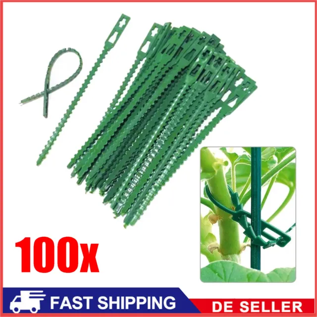 100er Set Pflanzenbinder 17cm Blumenbinder Kabelbinder Binder Rankhilfe Klemmen