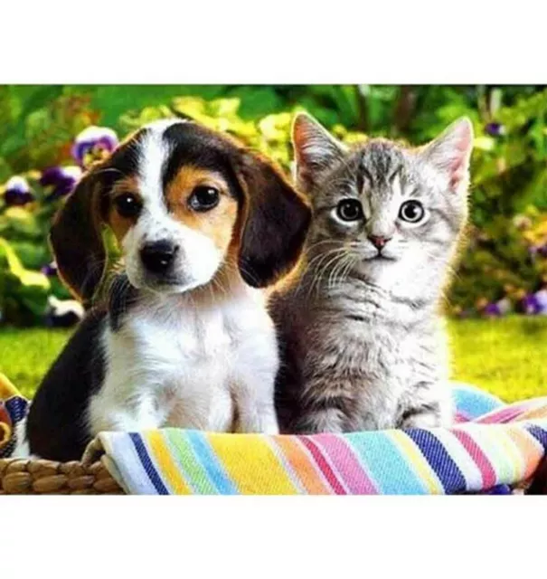 5D Diamond Painting  Stickerei Kreuzstich Bilder Set Hund und Katze