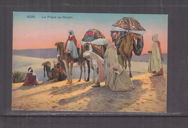 NORTH AFRICA, PRAYING IN THE DESERT, CAMELS, 1925 ppc., unused.