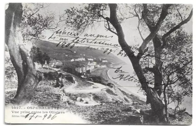 CARTOLINA DI IMPERIA ,OSPEDALETTI - VISTA PRESA TRA GLI OLIVI viaggiata 1906