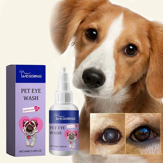 PET EYE DROPS For Pet Eye Lubricant Drop Lanosterol 50 Hot ml S6