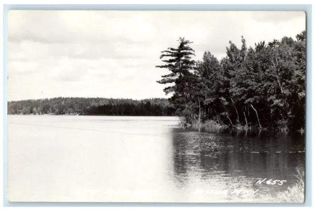c1940's View Of West Twin Lake Nisswa Minnesota MN RPPC Photo Vintage Postcard