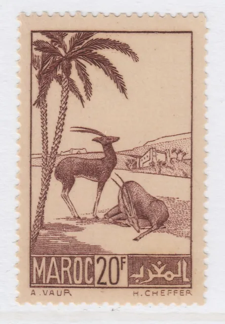 French Colony MOROCCO 1939-42 20fr MNH** Stamp A27P59F26288