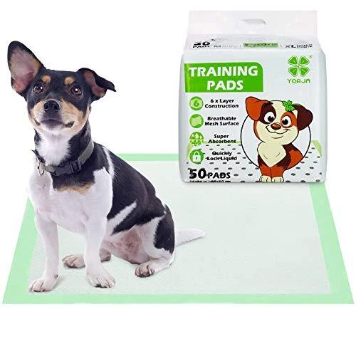 Puppy Training Pads for Dog, 60 x 60cm-50 Pack Super Absorbent 100% Leak