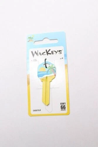 (2-Pk) Hillman House/Entry Key Blank Brass Multicolored 88997