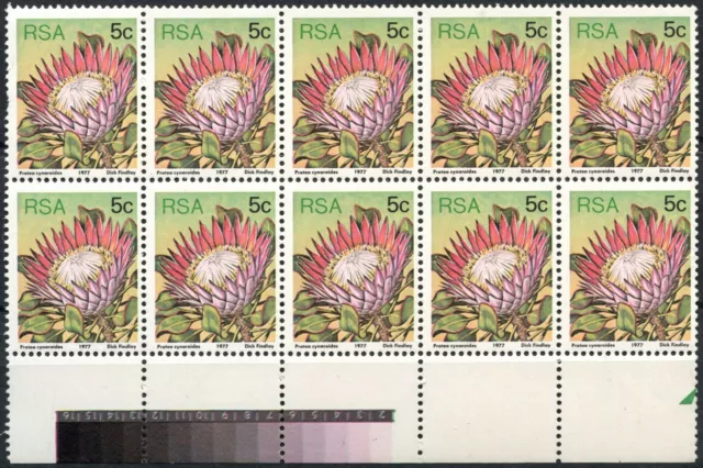 South Africa 1977-82 SG#418a 5c Proteas, Plants Definitive P14x13.5 Block #E9007