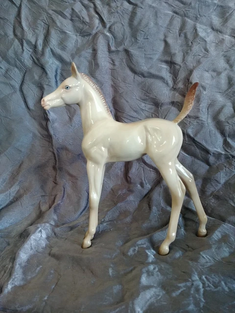 💥Peter Stone 2022 DAH Arabian FOAL💥Glossy Perlino💥