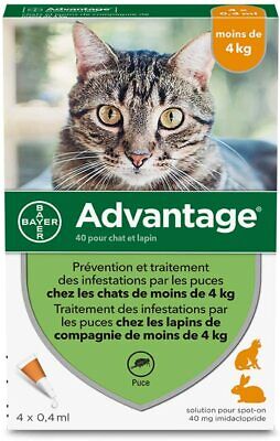 Bayer ADVANTAGE¹80 chat cat lapin flea protection externe 4-8 kg flea boite 4 pipettes 