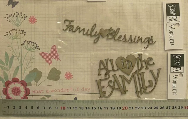 CHIPBOARD DieCut - FAMILY Blessing - All in the Family 2 Style Choice Scrap FX B