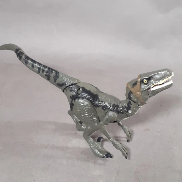 HASBRO 2015 JURASSIC World Velociraptor Blue Raptor Action Figure Toy ...