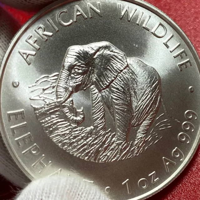 2000 ZAMBIA 5000 KWACHA 1oz SILVER MATTE ELEPHANT AFRICAN WILDLIFE RARE COIN!