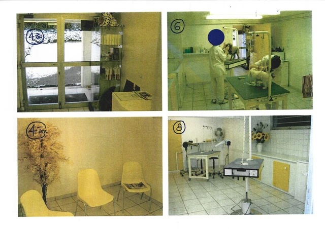 Salon de toilettage