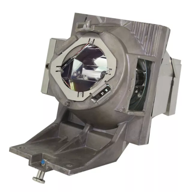 OEM Replacement Lamp & Housing for the BenQ TK800 Projector - 240 Day Warranty