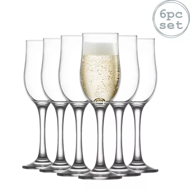 Nevakar Glass Champagne Tulips - 195ml - 6 Champagne Flutes Wine Glasses