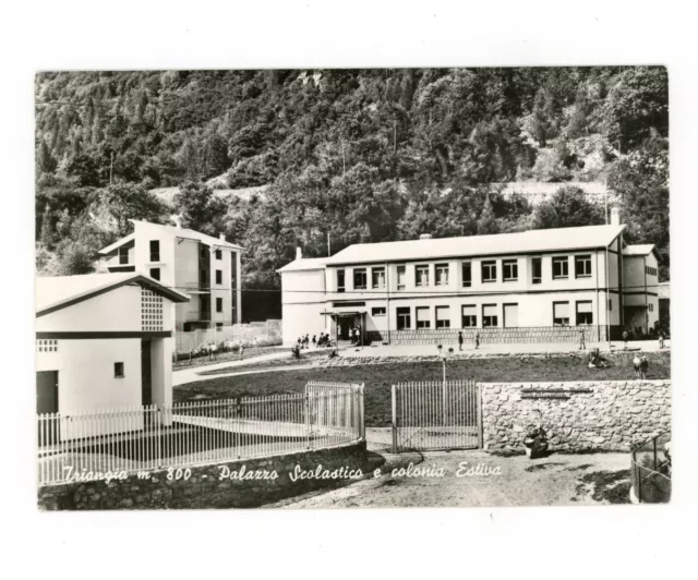 Triangia Scuola Colonia Cartolina Viaggiata 1966