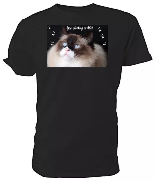 RAGDOLL CAT T shirt, Choice of size & colours, You Looking at Me! mens/womens