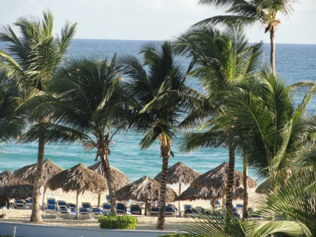 Hard Rock Hotel Casino Resort Punta Cana Dominican Republic  ALL~INCLUSIVE