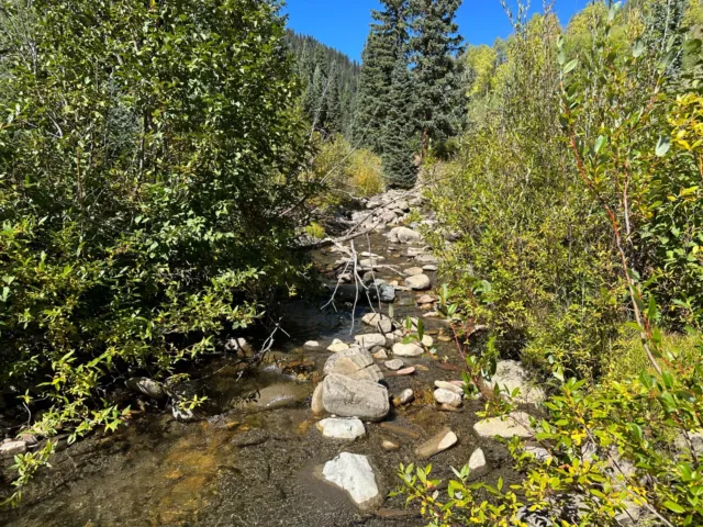 Un-patented 20 Acre Mining Claim Dolores County Colorado Gold Silver RV CAMPING
