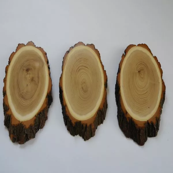 3 Pieza Acacia Escudo de Trofeo Ciervo Af 20-21 CM Corzo Baumscheibe Baumschild
