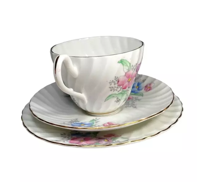 Foley Bone China Teacup Trio Cup Saucer Cake Plate Hand Painted Vintage 2053A 3