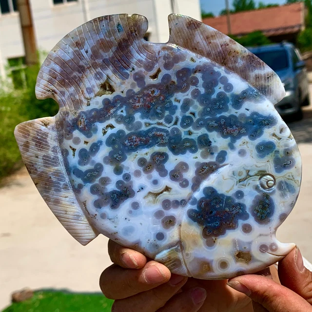 345G  Amazing Natural Ocean Jasper Crystal Carved Fish Jasper Halo Stone 16
