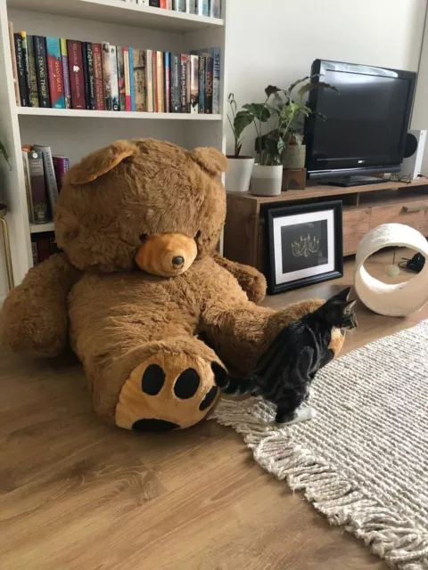 Giant large Hamleys teddy bear