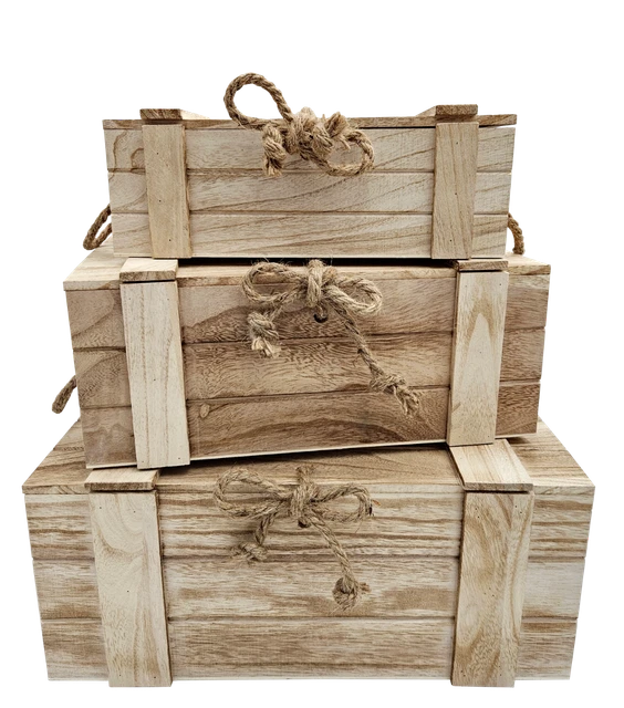 Boîte En Bois Naturel Non Traitée 20x10x6 Cm – Avec Couvercle – À Personnaliser (peinture, Pyrogravure…) – Pour Rangement Ou Cadeau