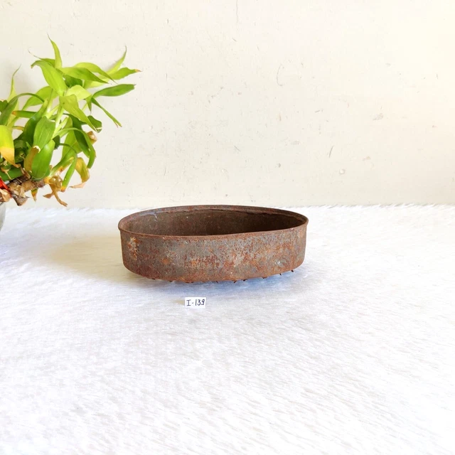1920s Vintage Primitive Hierro Forma Ovalada Rallador Viejo Decorativa Colección