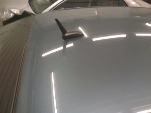 LACROSSE  2006 Antenna 1484066
