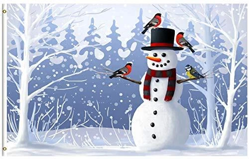 ShineSnow Christmas Winter Snowman and Birds in Seasonal Snow-Covered 3x5 Ft