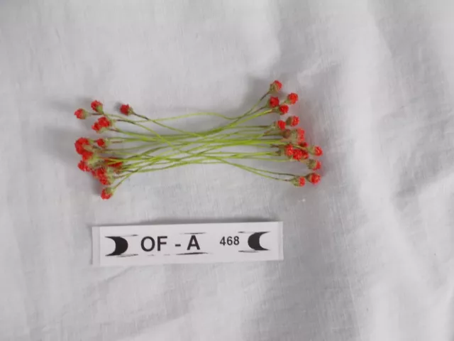 20x kleine rote Beeren / Blumenstempel,  auf Draht, f Christbaumschmuck  OF-A468