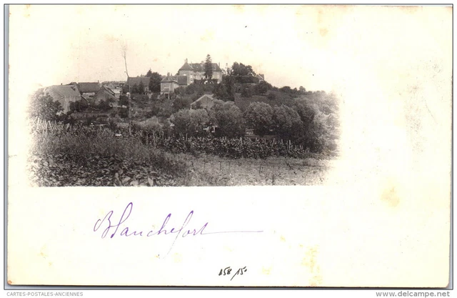 58 BLANCHEFORT - CARTE PHOTO - vue d'ensemble