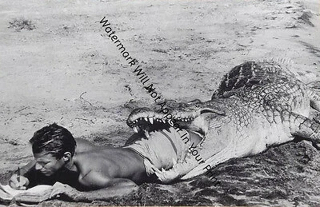 STRANGE WEIRD BIZARRE CREEPY CRAZY FREAKY Man Eaten By Gator VINTAGE PIC ODD