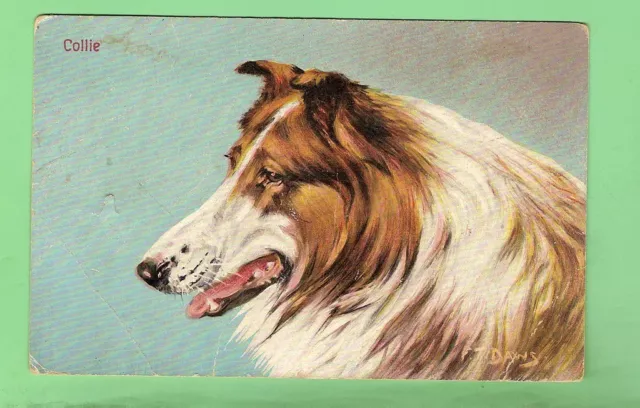 #C. Undated   Postcard Of Collie Dog