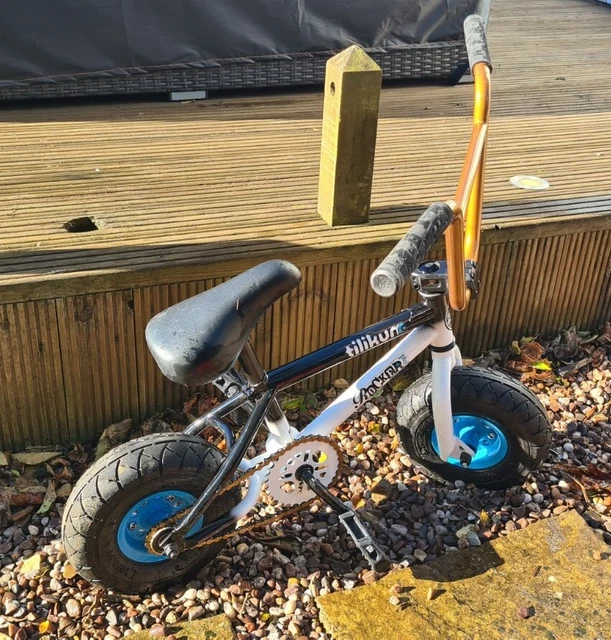 Renegade mini bmx cheap