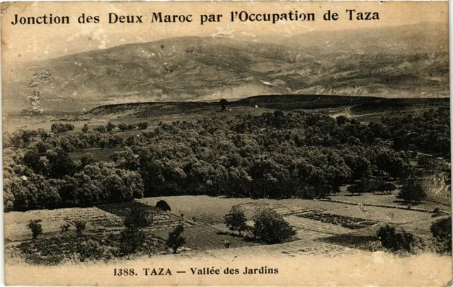 CPA AK MOROCCO TAZA - Valley of Gardens (281096)
