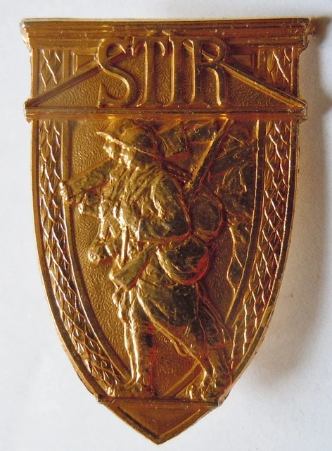 Ecole Du Ski Français / Insigne/ Le Liévre/ Bronze Nickelé