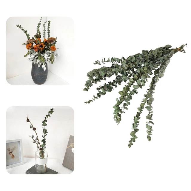 10 piezas/ramo de ramas de eucalipto respetuoso con el medio ambiente eucalipto verde flor